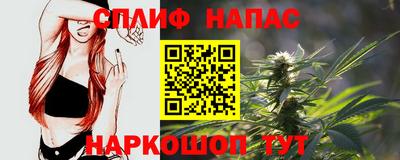 тгк Обь