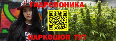 тгк Обь