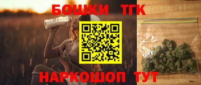 тгк Обь