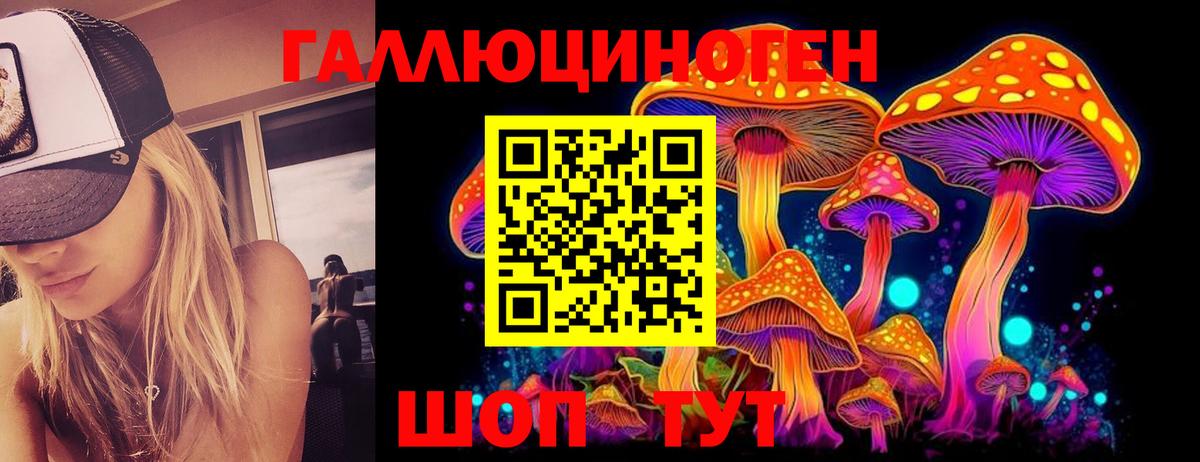 Ставрополь  Галлюциногенные грибы Cubensis  Псилоцибиновые грибы GOLDEN TEACHER  Вход с VPN 
